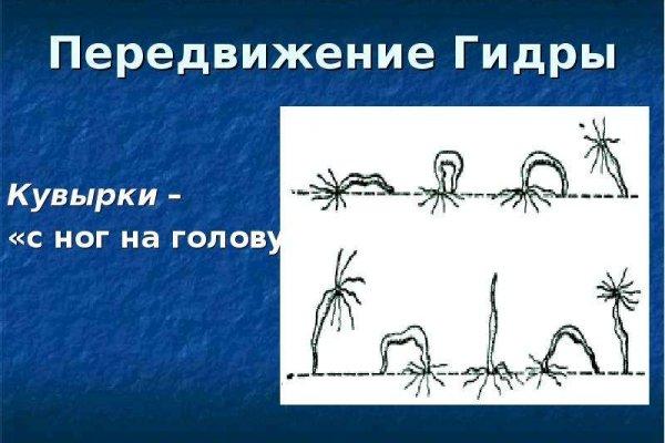 Кракен тор kraken dark