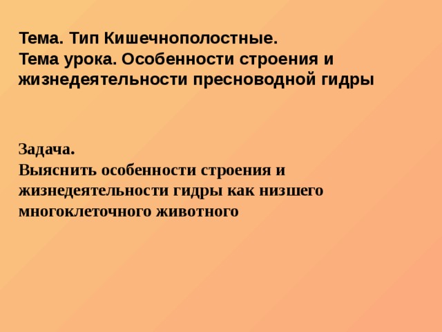Кракен это что за сайт