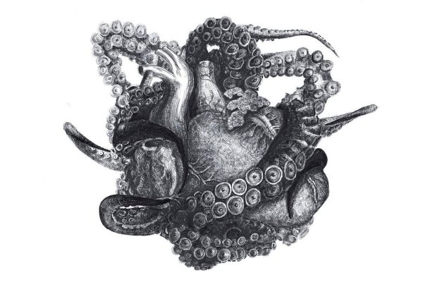 Ссылки зеркала на kraken