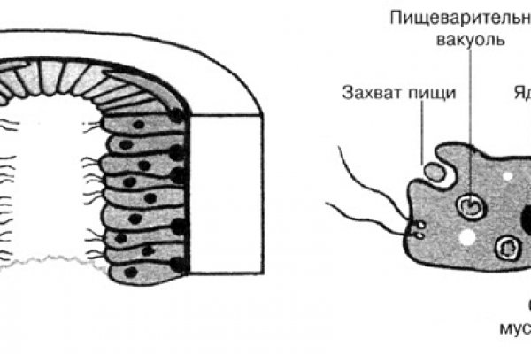 Кракен даркнет маркет