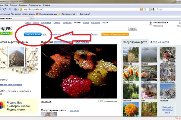 Кракен ссылка что это