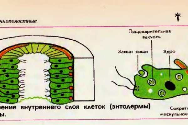 Что такое кракен в интернете