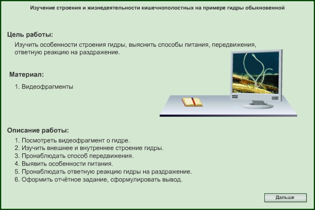 Кракен 15at